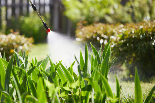 24/7 Emergency Pest Control experts in Vernon, TX